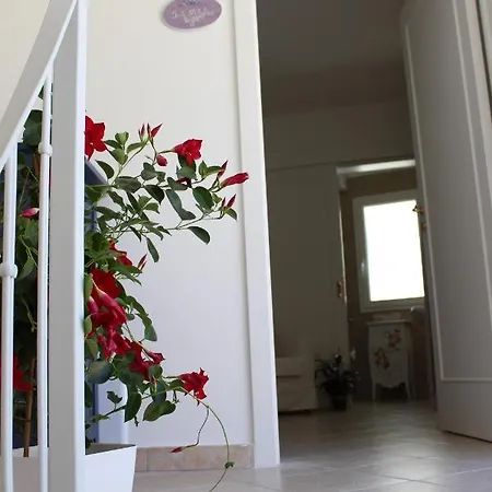 Book And Bed Frühstückspension